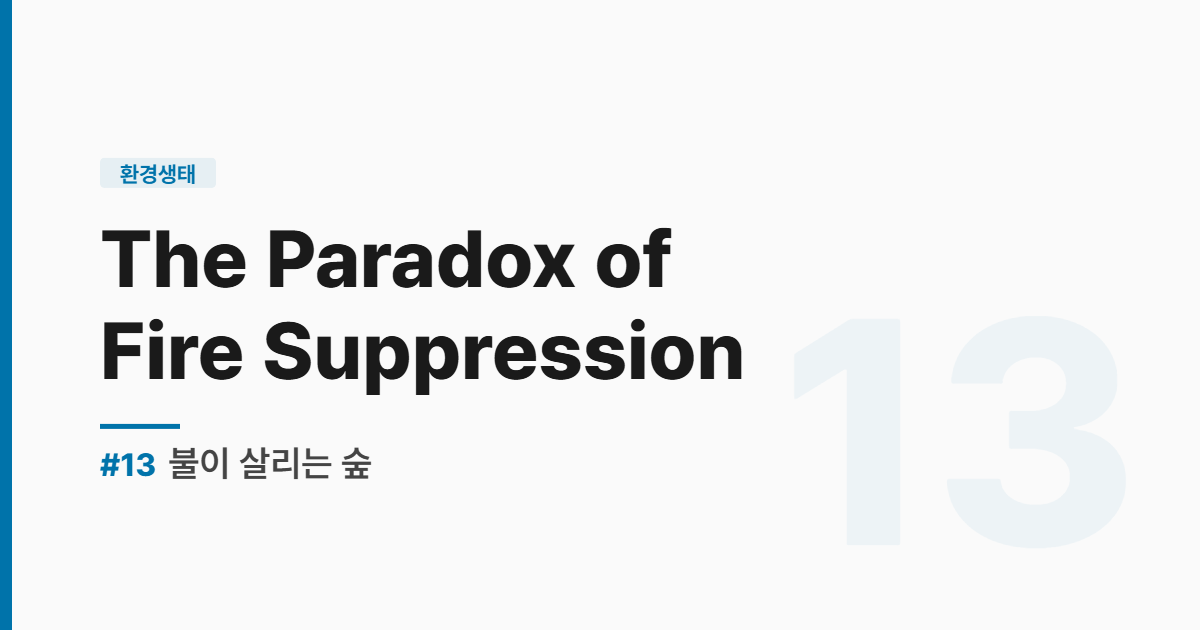 수능영어 실전독해 #13-불이 살리는 숲 - The Paradox of Fire Suppression
