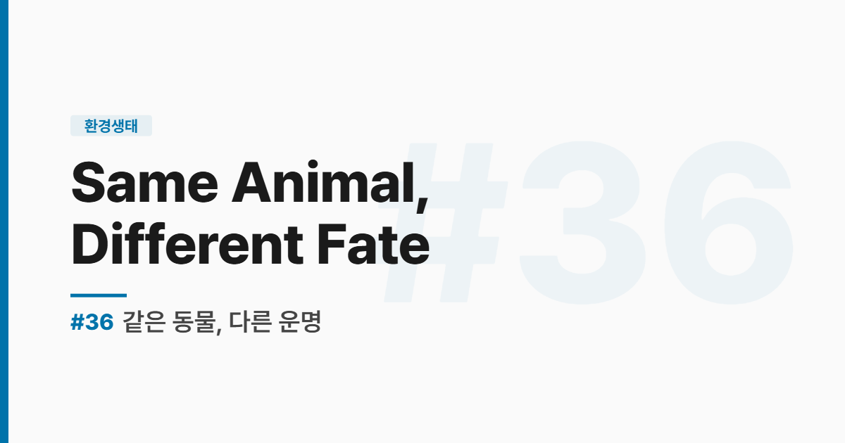 수능영어 실전독해 #36 같은 동물 다른 운명 썸네일